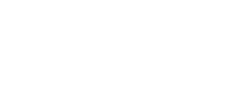 Plural Experten Logo